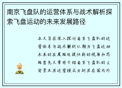 南京飞盘队的运营体系与战术解析探索飞盘运动的未来发展路径