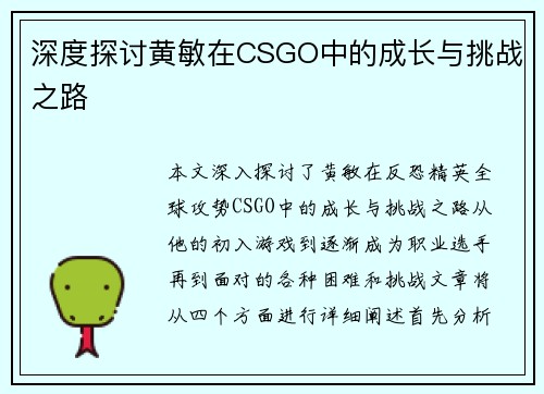 深度探讨黄敏在CSGO中的成长与挑战之路
